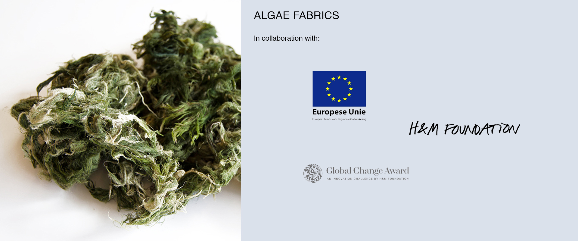 Algae fabrics