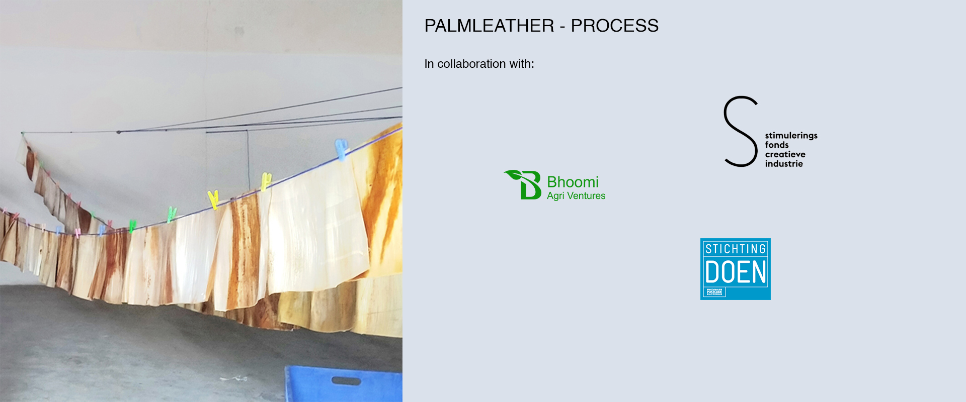 Palmleather - process