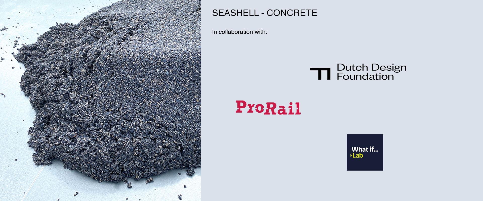 Seashell - concrete